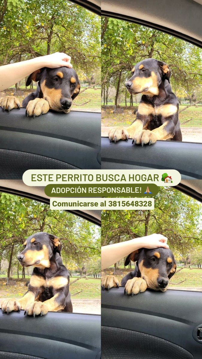 TUCUMÁN 🙏🏼🫶🏽