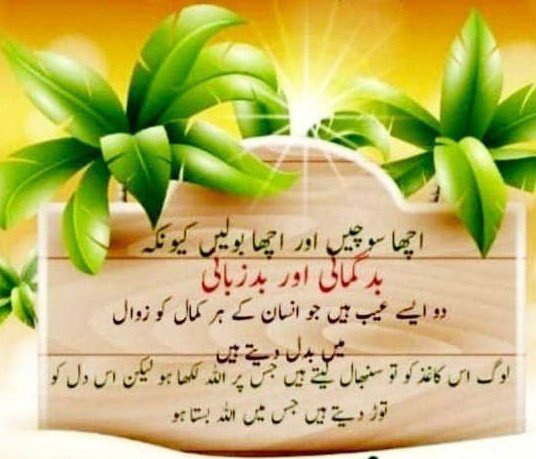 @AslamCh61 @Pak_Writer @meSana220 @AbbasJafree @shuja_waqas @With_Love_1 @Khanhakim_a @awliyaqirani @Kasione8 @Nesmaelsayed22 @Ranasheraz7572 @U4h9BdtnyzT05JL @khanhakim_k @MrNaassir @SnowWhiteRina @Javedch77 @sikandarmirza10 @Mohamma38611877 @mohsinmalvi19 @alibaba_2_chor @rajazkhan7861 @AboodMo23548664 @SyedaSaba12 @AisyahHasan9 @ChefYousuf @shaz_gujar @8d1JfWUlxx6cZcU @saosan123147 @ZEYNAZERDA @zerok_z @IShahzad2011 @AKUTIDAKADA @abide_kamran @Prime758523541 زبردست 👇👇👇👇