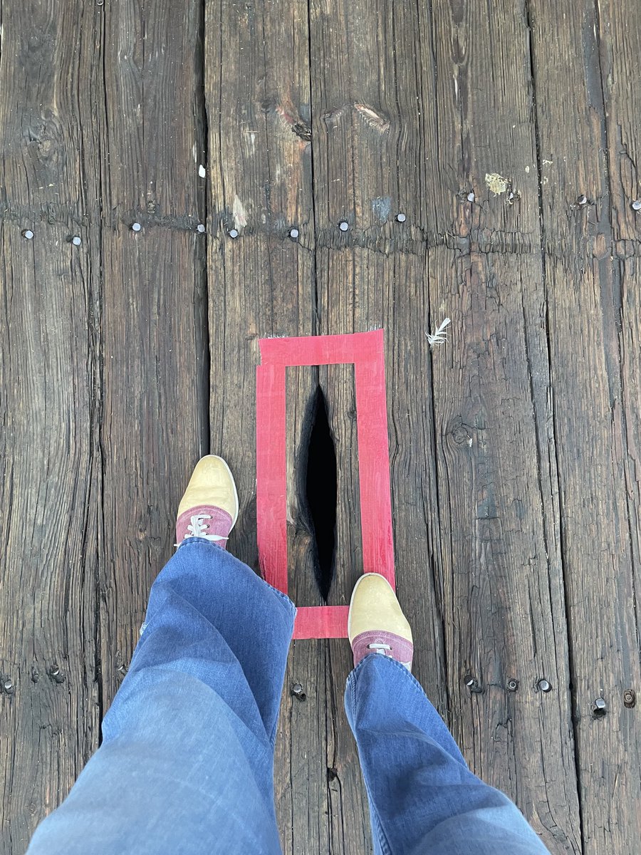 Caroline Losneck tweet media