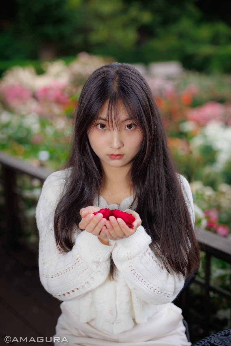 Model:琉海(ことりプロモーション)   photo by amagura  2023.5.13　@福岡市植物園　CANON R5　RF50mm AD200
#ことり撮影会
#福岡市植物園
#バラ園
#福岡撮影会
#モデル撮影
#ポートレート
#ポートレートの好きな人と繋がりたい
#portrait
#portraitphotography