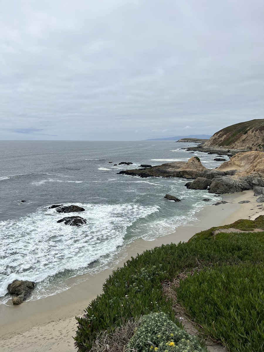 BelliniMom's tweet image. I keep forgetting just how many happy places I have! #BodegaBay