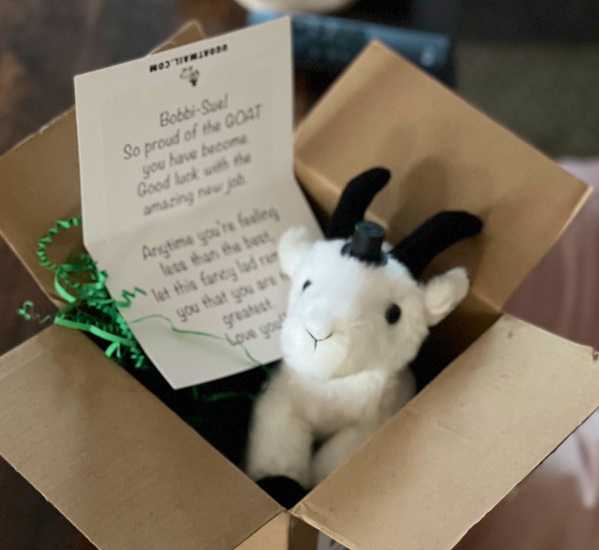 Bobbi-Sue tweet media