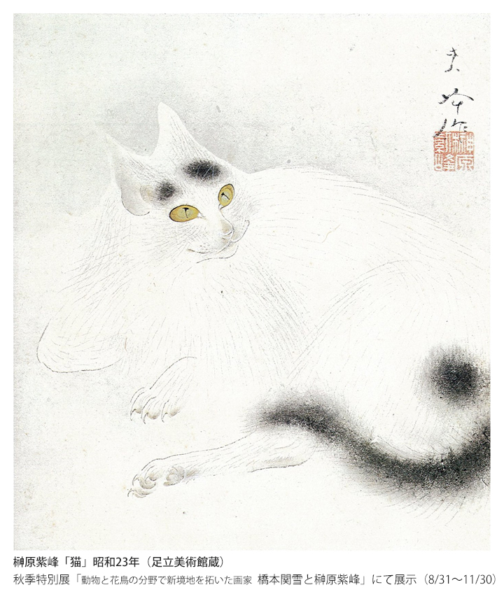 足立美術館 on X: 