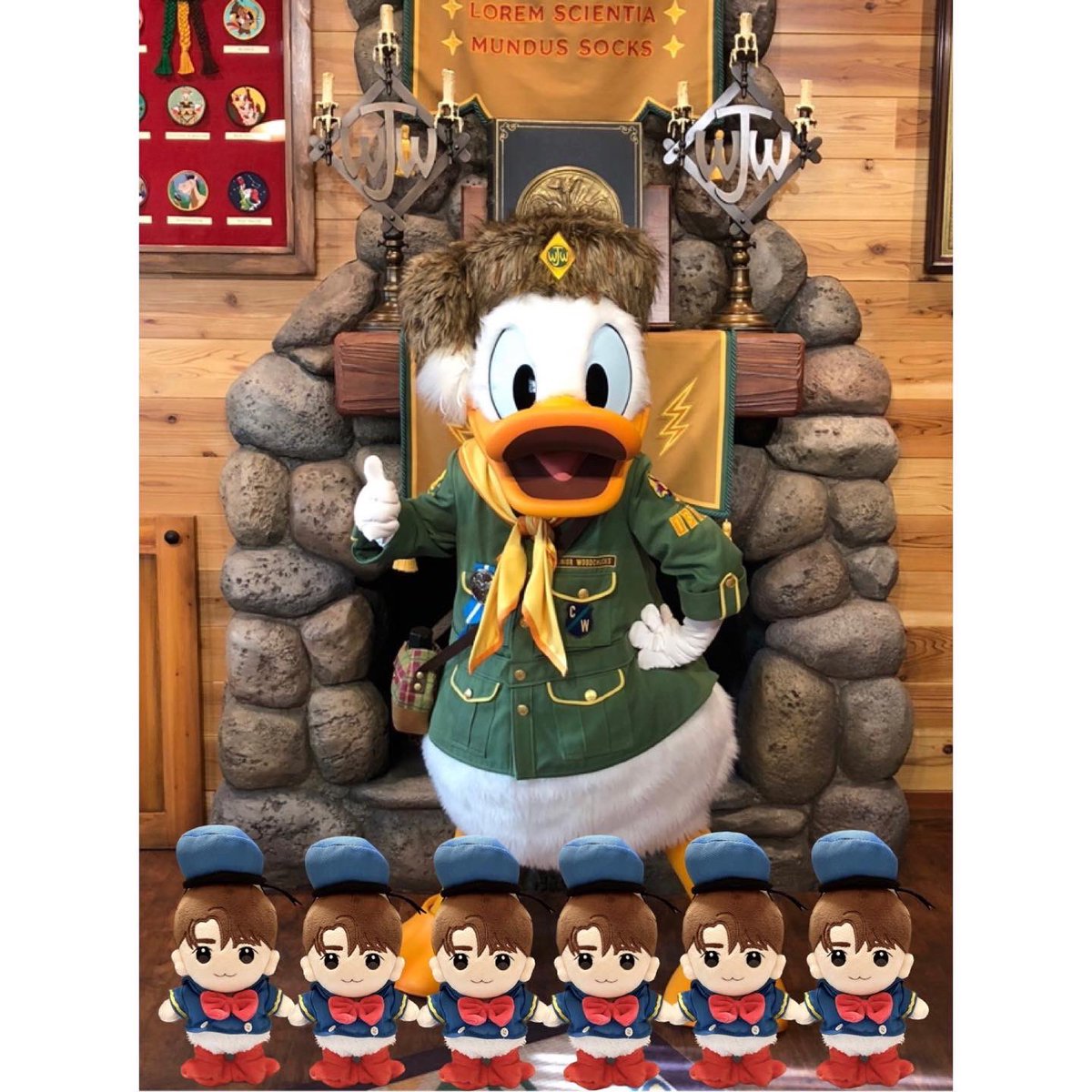 mynameis_mami's tweet photo. 6月9日はもう1人の推し！ドナルドダックの誕生日🎂

#ハッピーバースデードナルド

#켱식 #켱식이 
#キョンシク
#박형식  #パクヒョンシク
#ぬい撮り #ぬい活 https://t.co/dQXWBySHuL