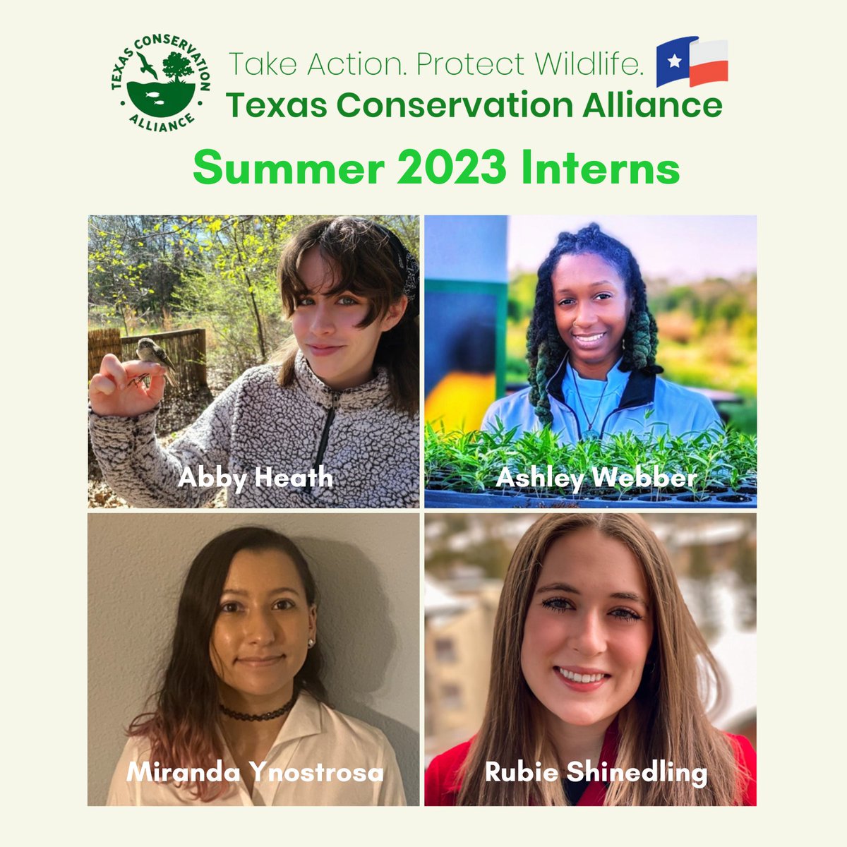 TCAtexas's tweet photo. Introducing TCA's Summer 2023 Interns! This cohort of students will be restoring wildlife habitat, organizing fundraising projects, and researching environmental policies. Congrats to these young conservationists!
#Intern #WeAreTCA #Restore https://t.co/tFUA4w9NQE