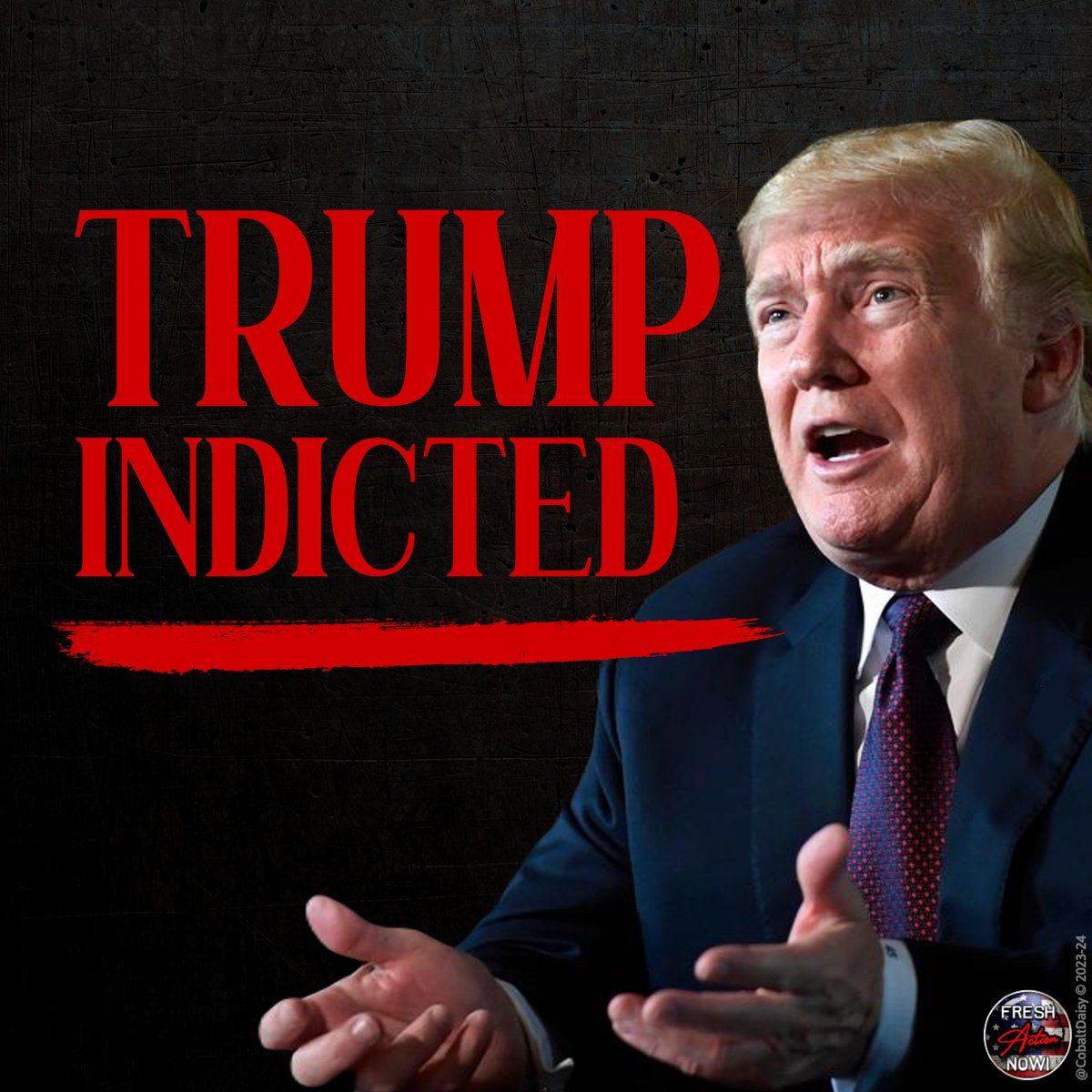 It finally happened. Trump indicted. Justice 🇺🇸

Let this serve as a lesson. Don't f**k with us or our country. You will have the same fate. 

#TruBlue #FreshStrong #ProudBlue