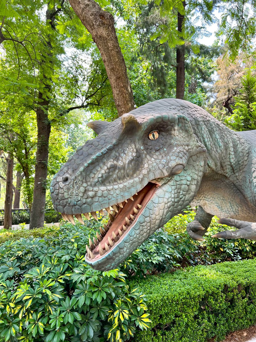 CC_LosPinos's tweet photo. 🦕Los dinos llegaron a #LosPinos

Una exposición de dimensiones prehistóricas te espera en la residencia oficial del pueblo de México a partir de este sábado 10 de junio. 🦖

La @cultura_mx y la @SRE_mx te invitan a vivir esta  aventura caminando entre dinosaurios. 
#EntradaLibre https://t.co/iUaaqcpPTX