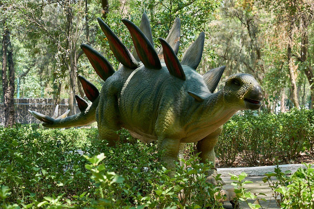 CC_LosPinos's tweet photo. 🦕Los dinos llegaron a #LosPinos

Una exposición de dimensiones prehistóricas te espera en la residencia oficial del pueblo de México a partir de este sábado 10 de junio. 🦖

La @cultura_mx y la @SRE_mx te invitan a vivir esta  aventura caminando entre dinosaurios. 
#EntradaLibre https://t.co/iUaaqcpPTX
