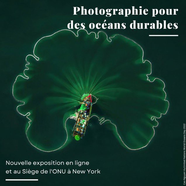 Engageons-nous tous à agir pour l'environnement et à adopter des gestes plus respectueux de nos océans.
.
.
.
2.
📸 : @UNEP_Francais
#Journeeinternationaledesoceans #Envionnement #ProtectiondesOceans