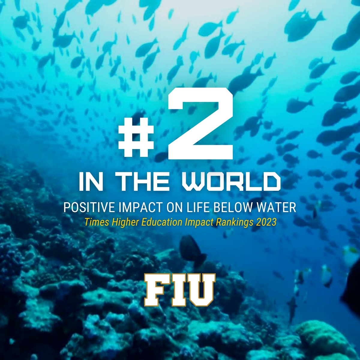 FIU has been ranked No. 2 in the world for positive impact for Life Below Water.  

Overall, #FIU was ranked among the top 100 universities in the world and No. 7 in the United States for impact in the 2023 Times Higher Education Impact Rankings.

#WorldOceanDay