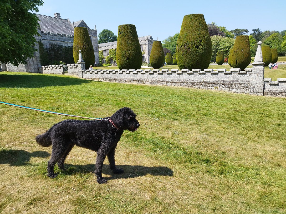 ZebedeeZebedog's tweet photo. A lovely day out in the grounds of @LanhydrockNT  And just when the heat was getting too much there was this lovely stream for a paddle. https://t.co/V7ToqfkQ6l