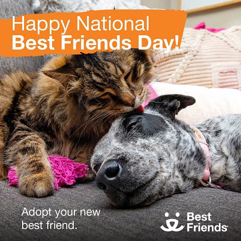Time to find YOUR new #BestFriend ? @bestfriends can help! Together, we can #SaveThemAll ! #BestFriendsDay #AdoptDontShop 🥰🐶❤️😻🎉