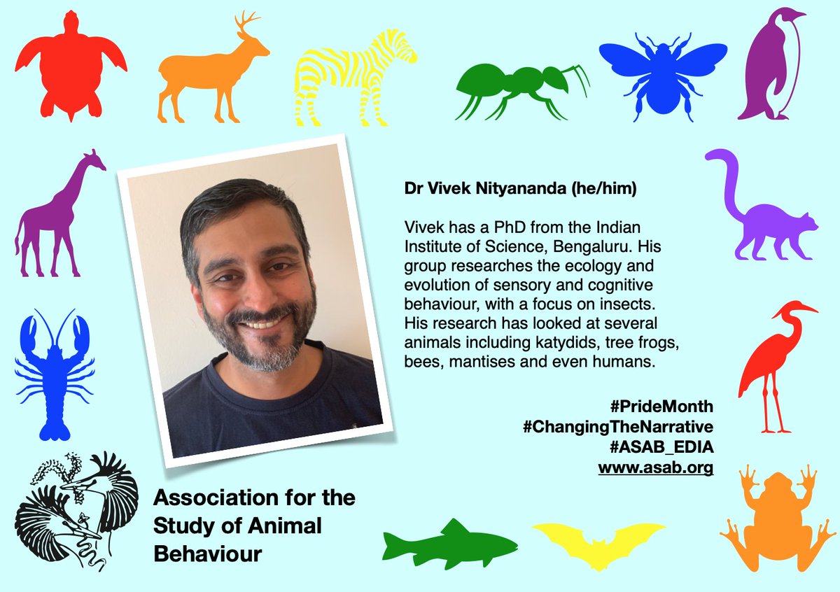 ASAB (@asab_org) on Twitter photo Next up we have the fantastic <a href="/VivekNityananda/">Vivek Nityananda</a> Dr Vivek Nityananda is great for communicating science to young people, sometimes with <a href="/ASABeducation/">Education Officer</a> and sometimes he even puts sunglasses on Mantises! π¦π¦π πΈπ¬ππ³οΈβπ Happy #PrideMonth π³οΈβπ Next up we have the fantastic <a href="/VivekNityananda/">Vivek Nityananda</a> Dr Vivek Nityananda is great for communicating science to young people, sometimes with <a href="/ASABeducation/">Education Officer</a> and sometimes he even puts sunglasses on Mantises! π¦π¦π πΈπ¬ππ³οΈβπ Happy #PrideMonth π³οΈβπ