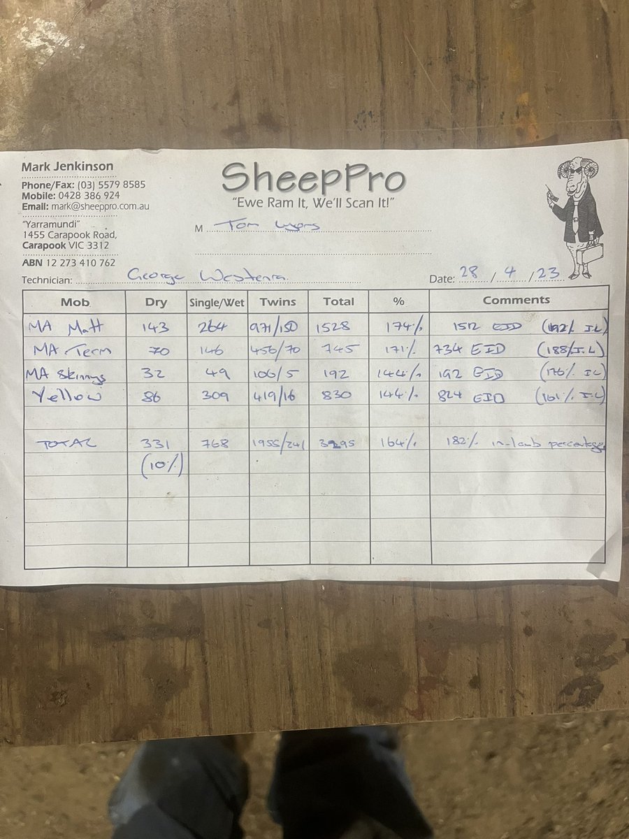 Tom Lyons tweet media