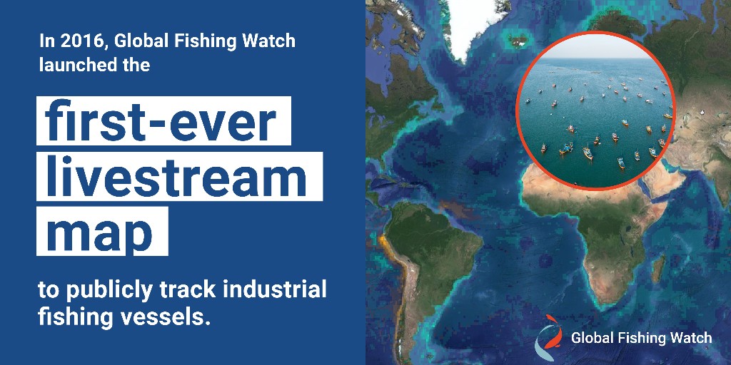 🌊 Exciting news this #WorldOceanDay! @GlobalFishWatch secures $60M through The #AudaciousProject to publicly map all industrial activity at sea. @Oceana is proud to be a founder of @GlobalFishWatch & collaborate to improve ocean monitoring & management. bit.ly/42pIMPM