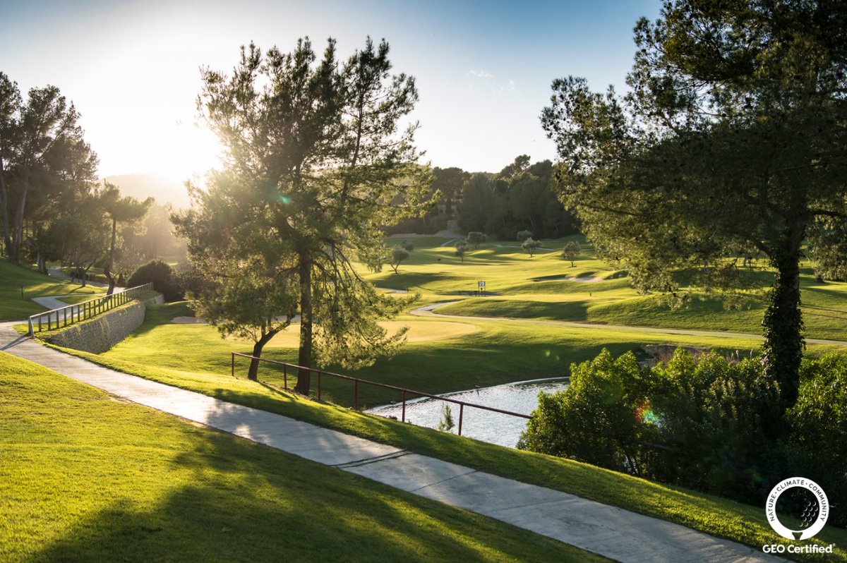 arabellagolfmca's tweet photo. "Estamos emocionados de ser los primeros campos de golf en Baleares en obtener el Certificado GEO® de golf en #ArabellaGolfMallorca. 🌿🏌️⛳️
#MedioAmbiente #GEOCertified #Sostenibilidad #CompromisoAmbiental #ForSustainableGolf @sustainablegolf https://t.co/K8rHBO0SxJ
