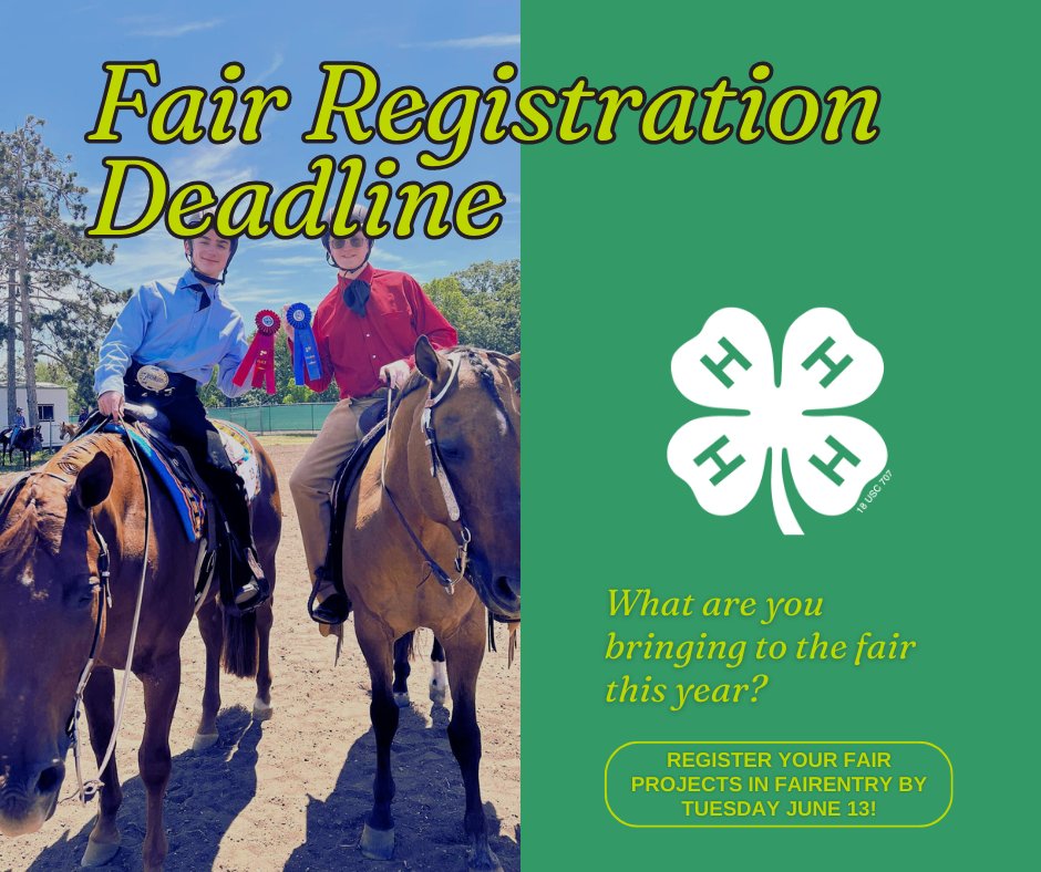 Sherburne4H's tweet photo. Not sure what exactly you can enter in the fair this year? Check out https://t.co/MveUvznzby to help you decide what you'll be bringing this year. Then, be sure to register your projects at https://t.co/OMo7KKME6u by Tuesday, June 13! Learn more at https://t.co/3iGLYAYtiJ https://t.co/IWqpXn5593