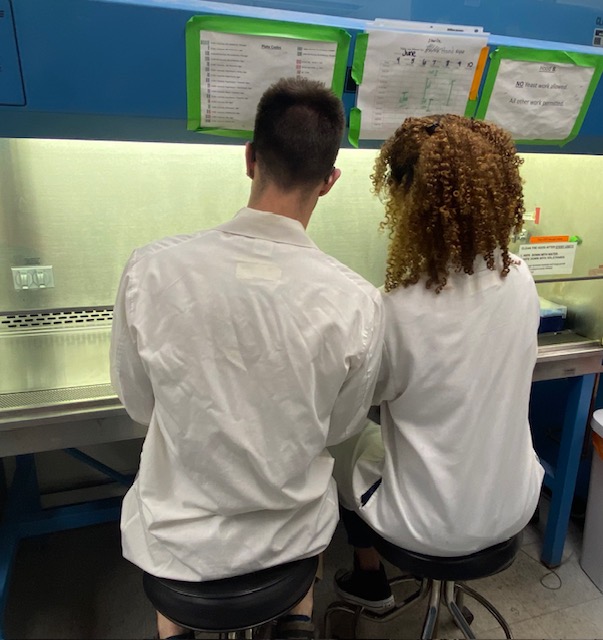 msubrandizzilab's tweet photo. Working in the Brandizzi Lab is pretty amazing. Working with a friend is even better!
Happy National Best Friend's Day!
#msubrandizzilab #NationalBestFriendsDay #ScienceBuddies https://t.co/PHFmpdo2xS