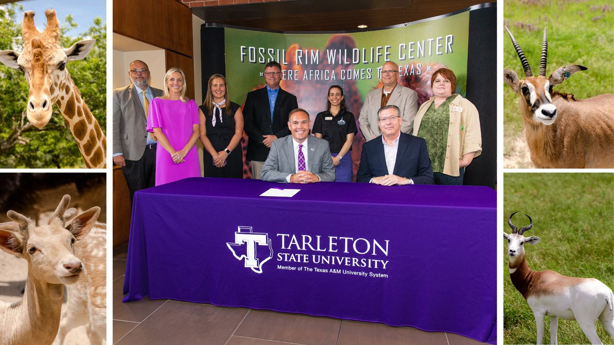 Today, Tarleton and <a href="/FossilRim/">Fossil Rim Wildlife Center</a> agreed to strengthen their ongoing partnership. This collaboration will expand student internships, research, community education activities, and professional development and cooperative programming.

Read more: tarletonstate.us/Fossil-Rim-Par…