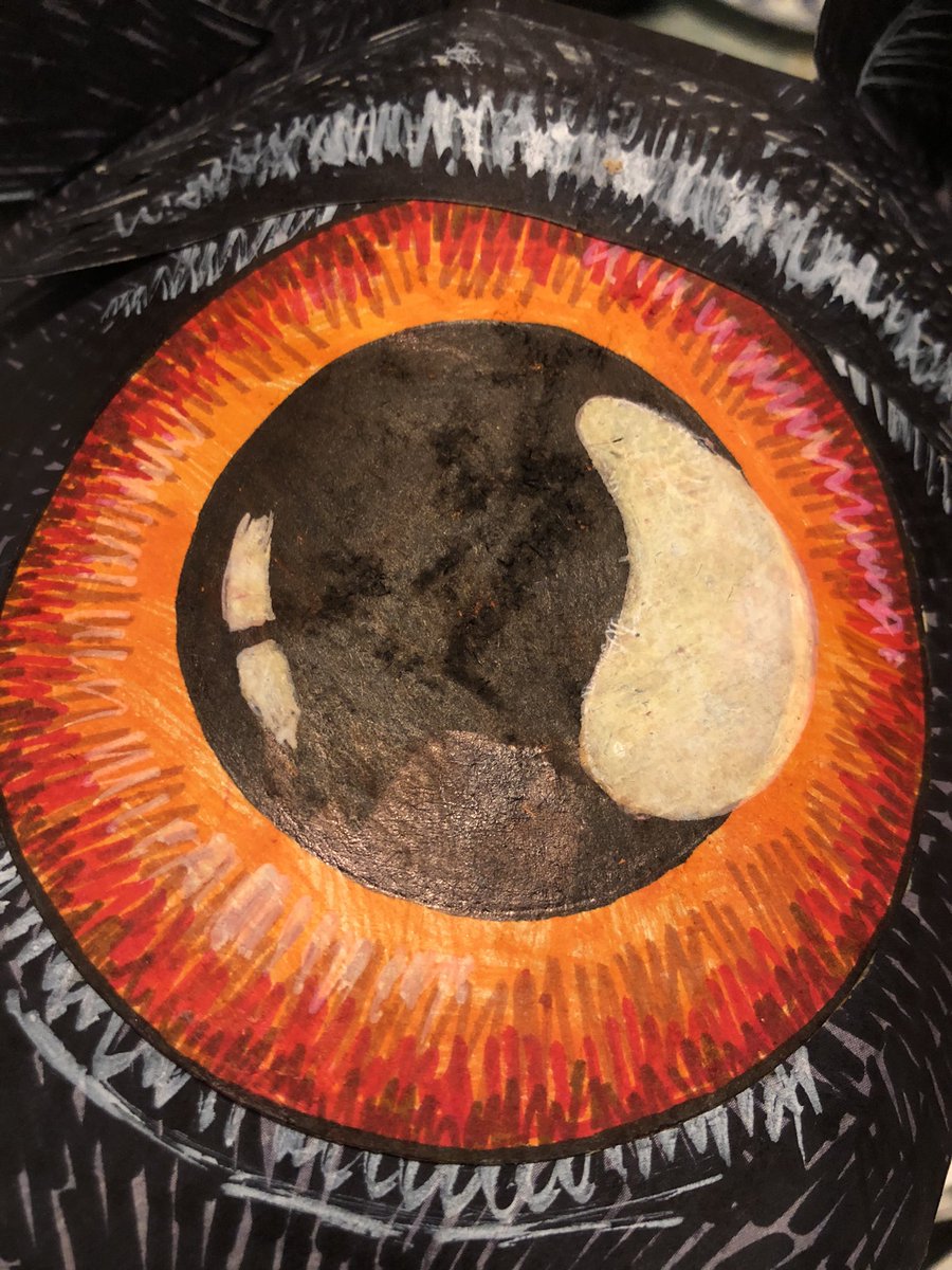 Anna Howorth tweet media