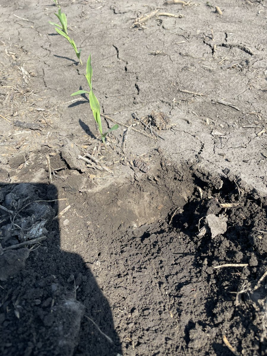 Gerby gerb tweet media