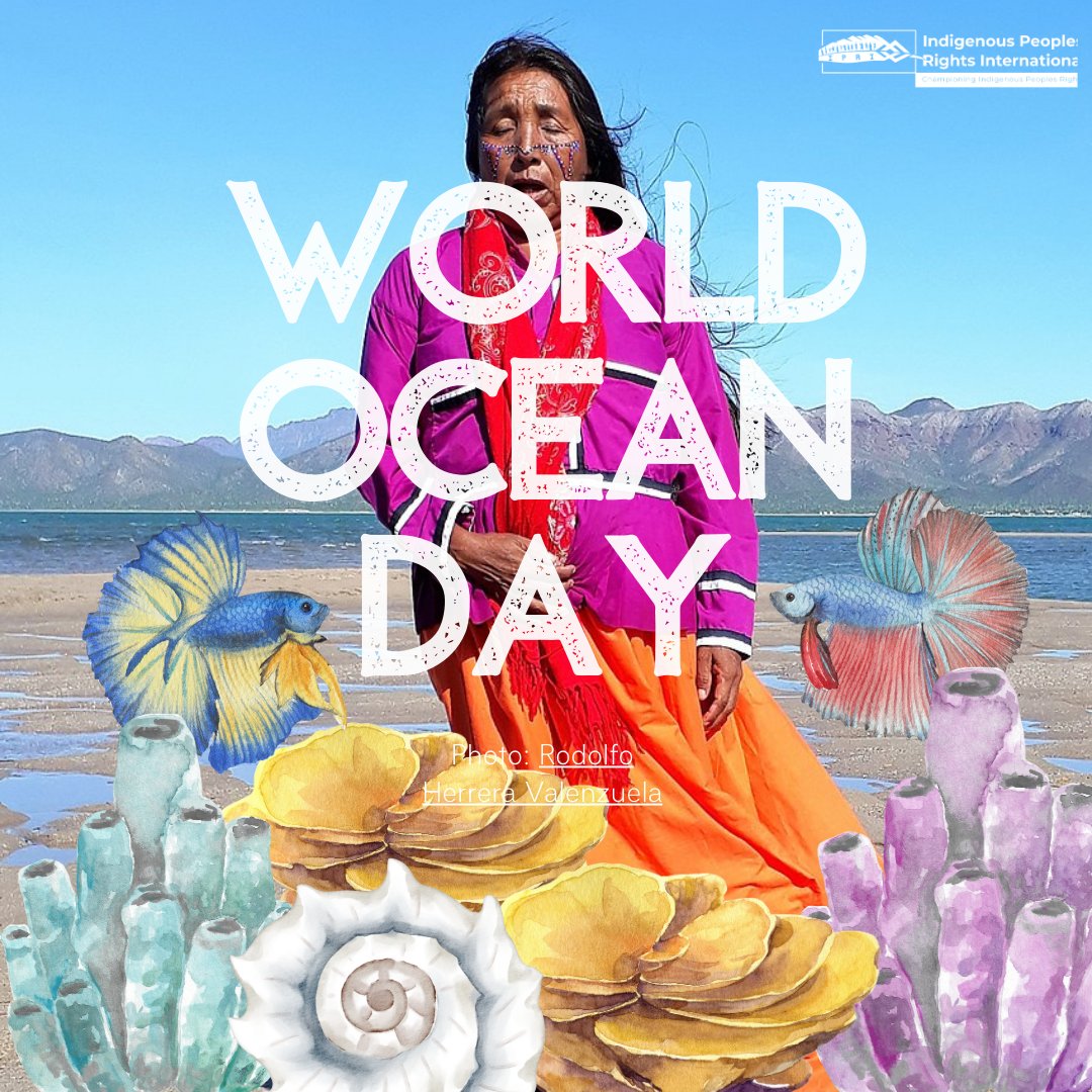 🌊The seas are also territories!

On this #WorldOceanDay, we invite you to read and reflect on the sacred relationship of the seas with indigenous peoples and the global future 🌏 

➡️bit.ly/40uUoka
➡️bit.ly/3qkdsVq
➡️bit.ly/3XhFCMd