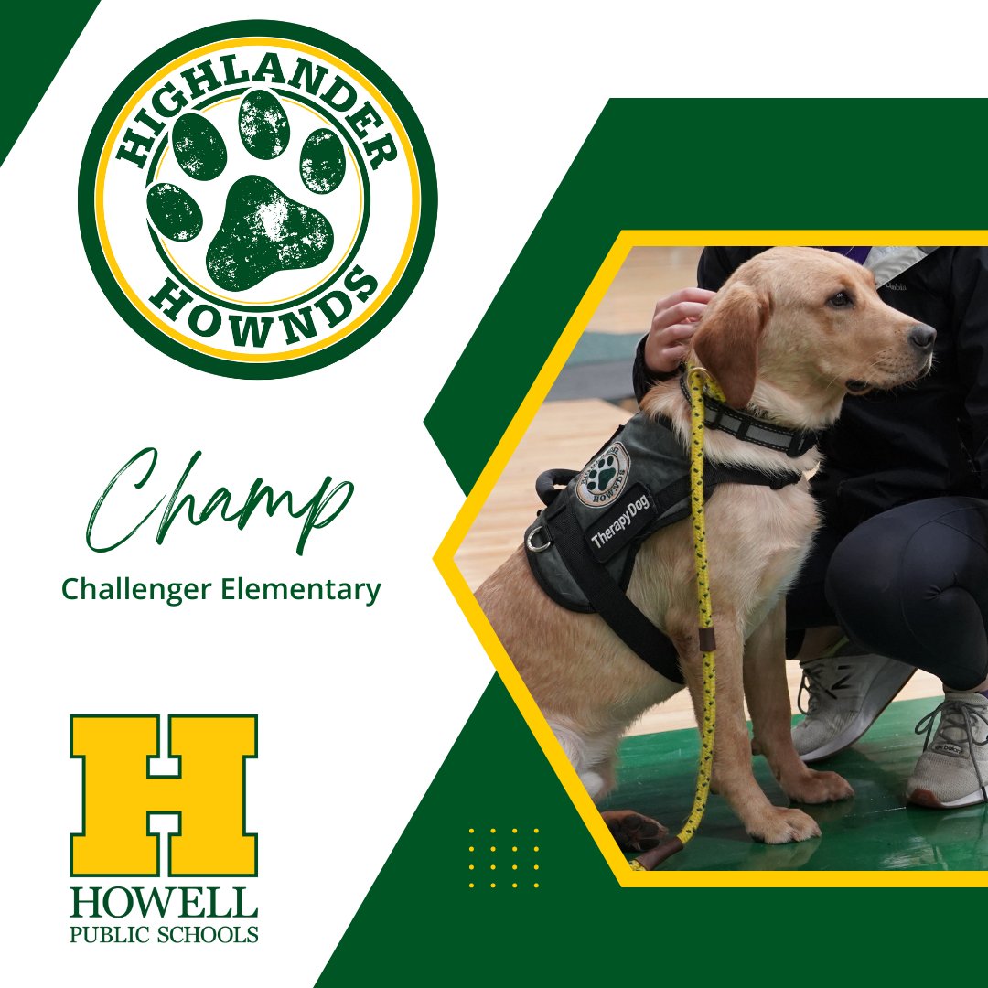 Meet the Highlander Hownds, our therapy dogs.

Champ, Finn and Timber have already been trained, Talon and Wylie are currently in training and Hawk, Roo and Vita will head to training this July.

Thanks to @Howellsurvivor for supporting this amazing program.

#onehowell