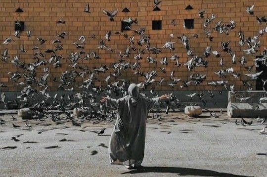 بَلاغَة tweet media