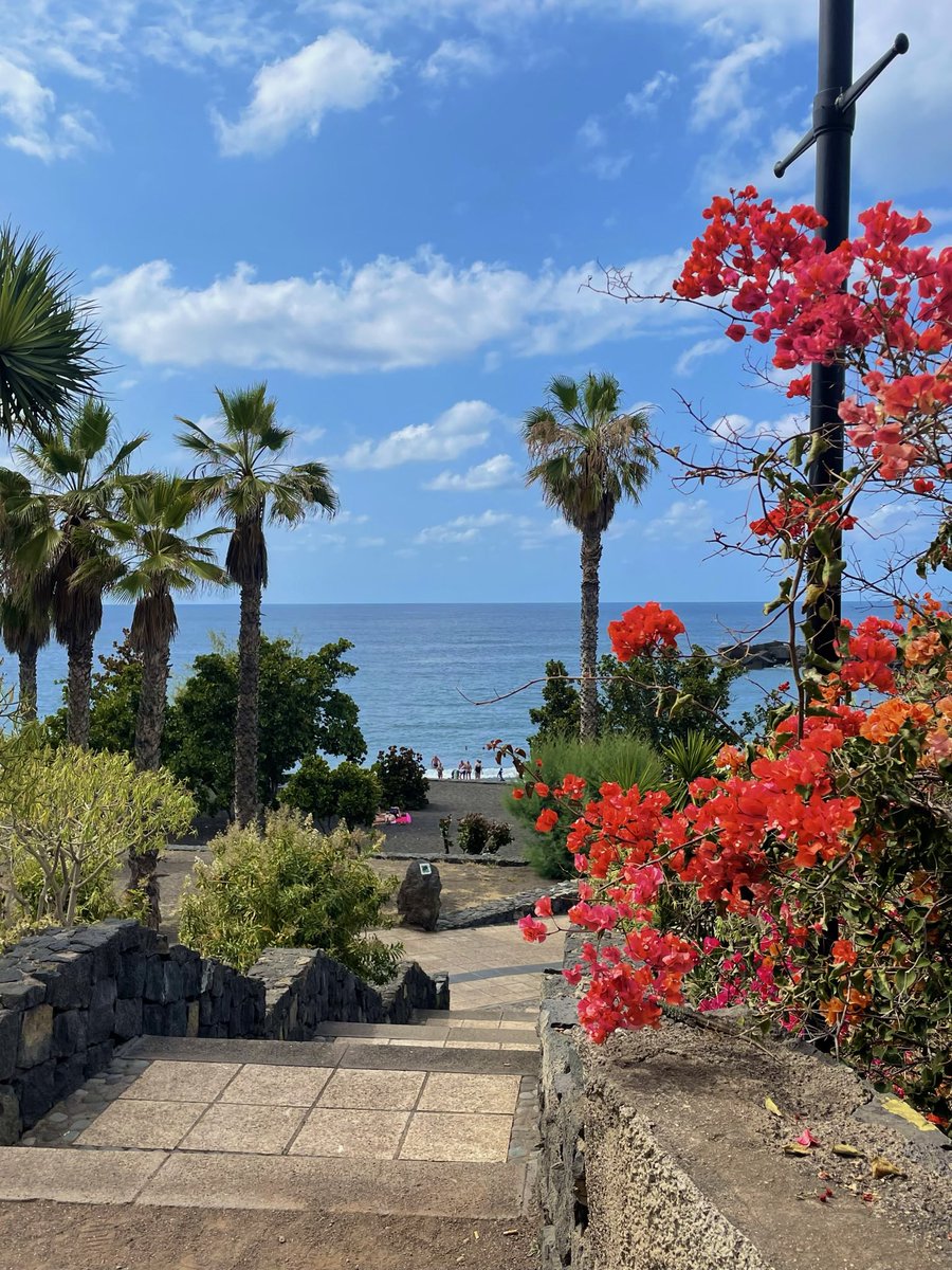 pauCL97's tweet photo. Tenerife, una vez más, enamorándome🫶🏼 https://t.co/1oztnXamPN