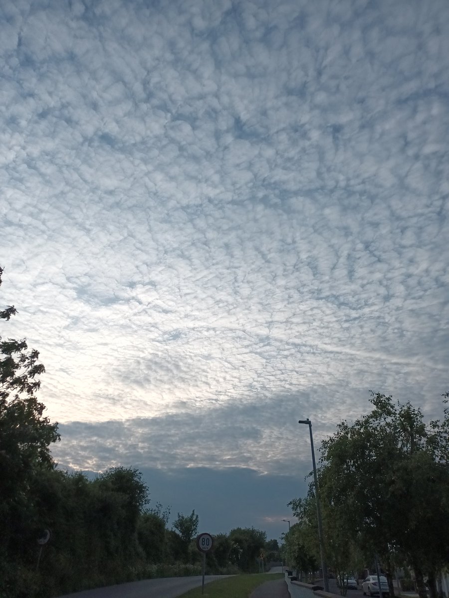 WildersLiz's tweet image. #Day159 #Day889
#100daysofwalking #200daysofwalking 
 #round3crew @NTBreakfast #MentalHealthAwareness #Kildare
Chilly windy evening