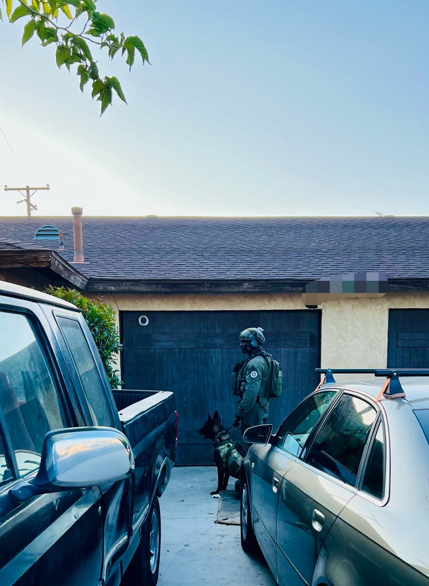 Your #GND #K9 #Bass and <a href="/USMS_PSWRFTF/">Pacific Southwest Regional Fugitive Task Force</a> at work!  #K9 #Bass ready to help if needed. Suspect armed and equipped with surveillance. Code 4. The suspect wanted for <a href="/LAPDSoutheast/">LAPD Southeast</a> Attempt #Murder in custody.  Doing their part to keep the community safe.  ComplyNowComplainLater #LAPD