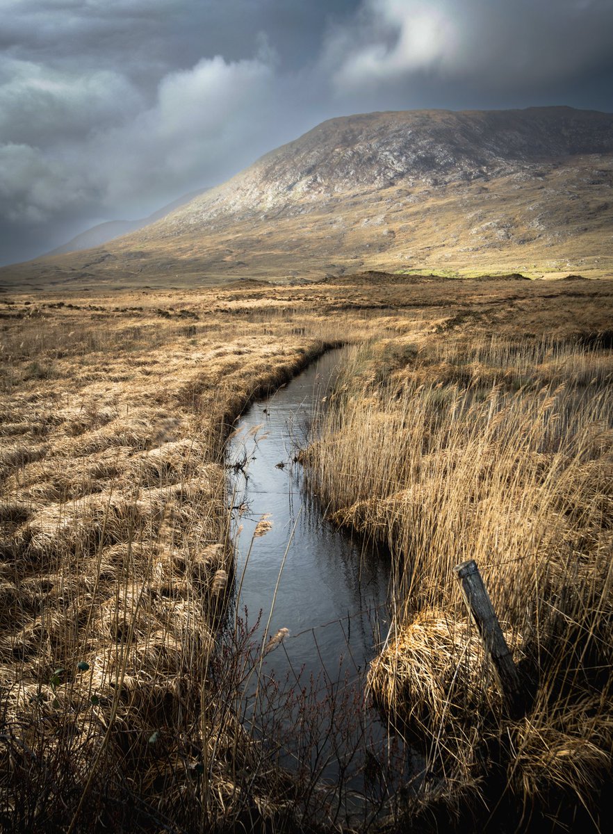 This shot now available on my website, three different print sizes, on premium Cansun lustre paper. Connemara. 🧡 Rts always appreciated 🤙🏻
