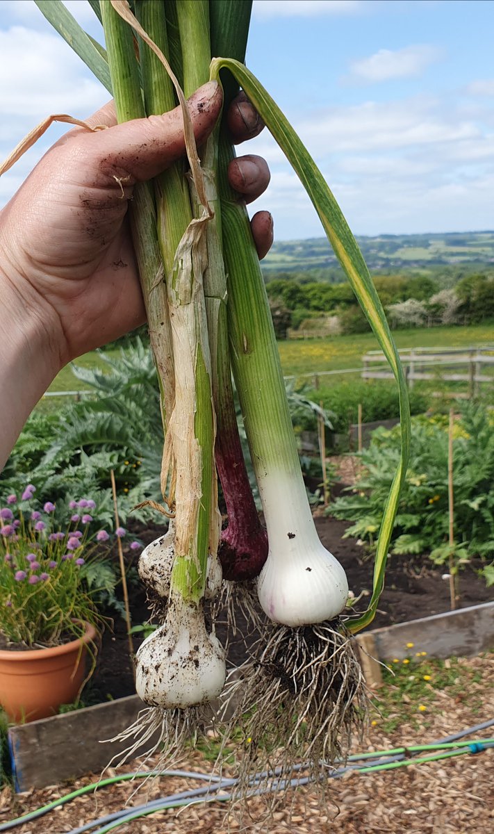 thepaddock_ne's tweet photo. New Website Account Sign Up &amp; Farm Shop Holidays https://t.co/Hx4sp0SJ9l https://t.co/RKl1pEi67W