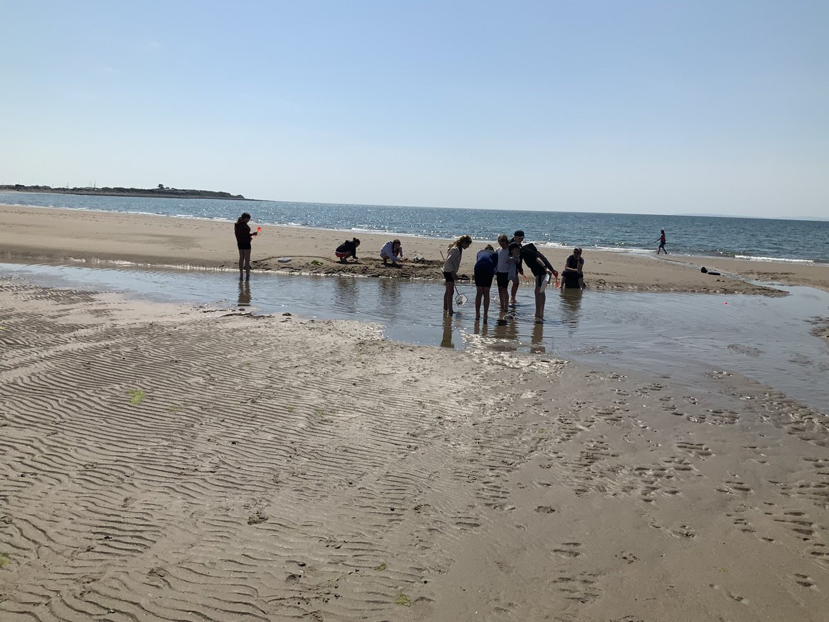 Team Stockson have been on the beach this afternoon. We built sculptures, investigated the rock pools and some of us got very into collecting shells - especially Miss Stockwell!!!