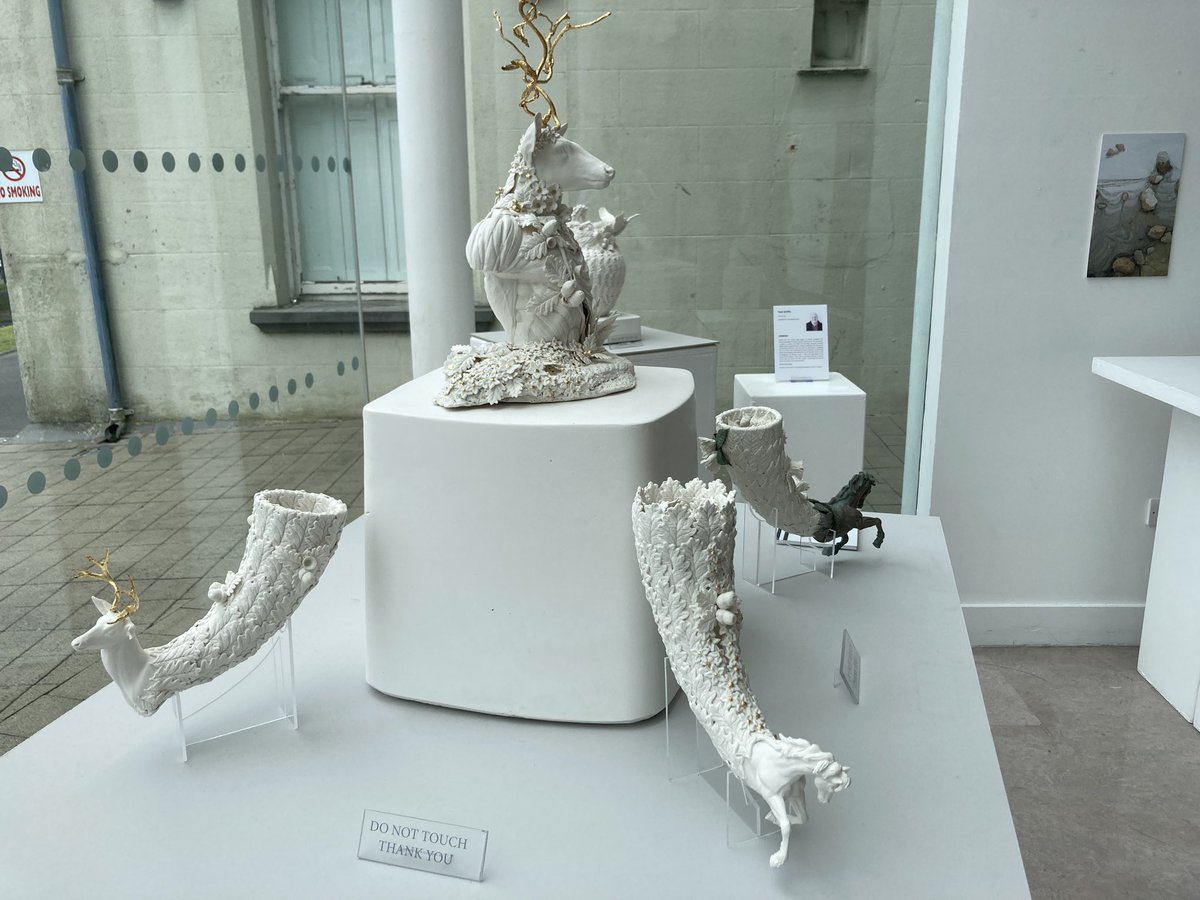 Honorary Consul of France, Limerick 🇮🇪🇫🇷🇪🇺 tweet media