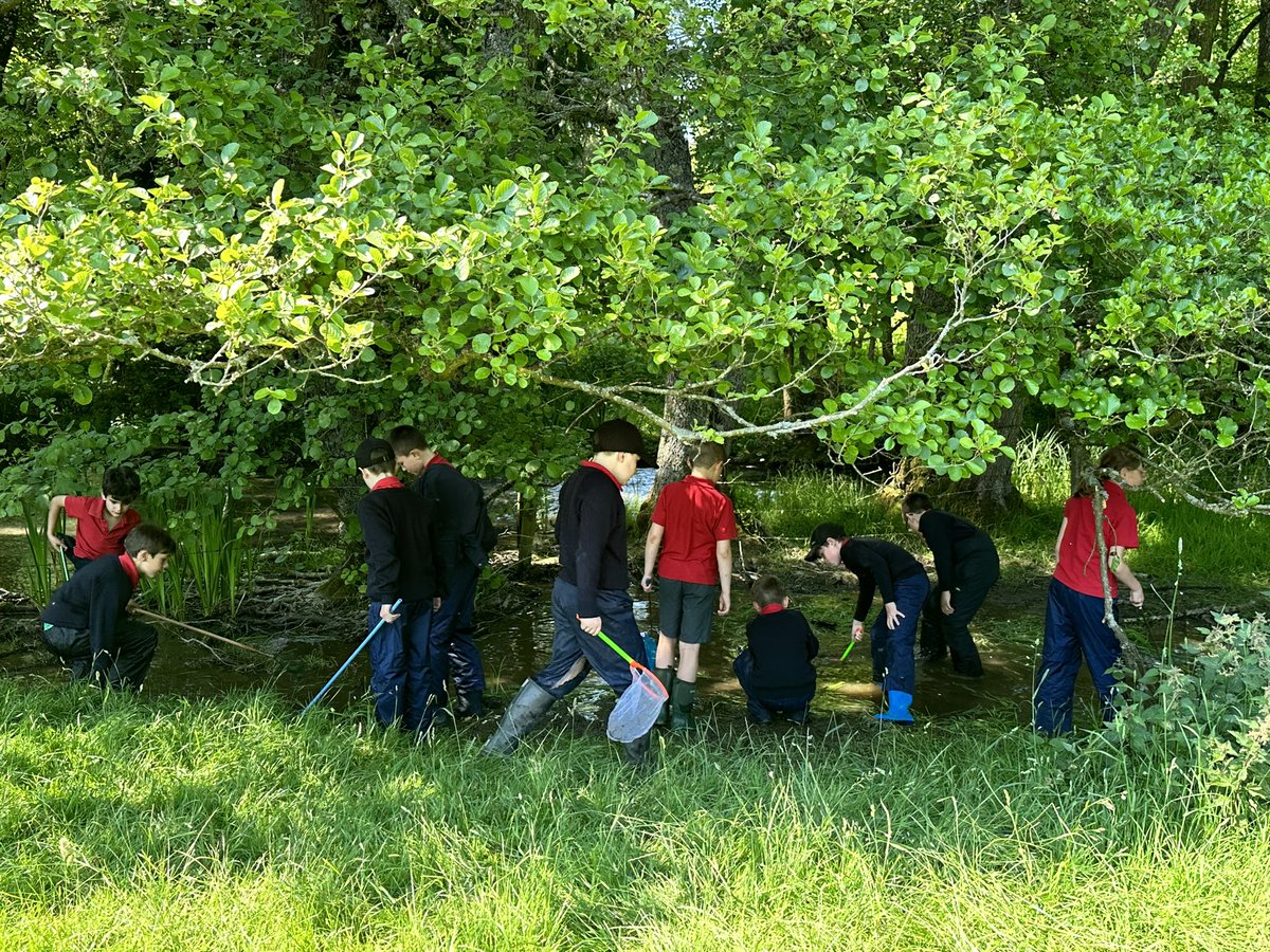 Rendcombjuniors's tweet photo. Year 3 &amp; 4 pupils @RendcombCollege had a fascinating trip down to the #RiverChurn today: Pooh Sticks played on the bridge, lots of wildlife spotted and found, including a common lizard! https://t.co/AzP8PwMufX