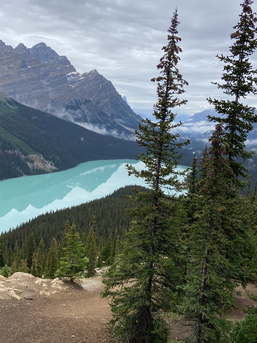 @bevrosenbaum The gondola is very cool. Don’t miss Moraine or Peyto Lakes. So much beauty in Banff area✌️💙