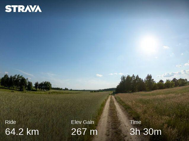 Otwarte przestrzenie i leśne katedry.