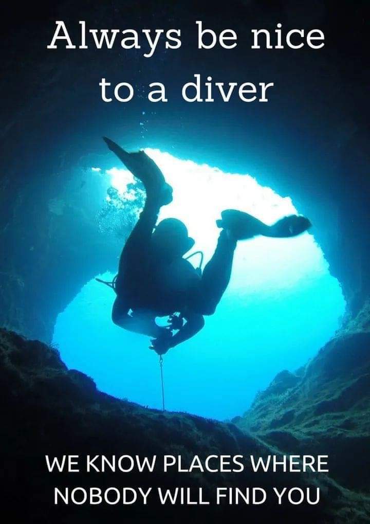 TheLegacyofLAW's tweet photo. Happy World Ocean Day!!
🧜🏿‍♀️🤿💦🤽🏾‍♂️🦈🌊🐡💧🐠🏊🏾‍♀️
#thelegacyoflaw #legacyoflaw
#theblackmermaid #blackmermaids
#blackgirlsswim
#blackgirlsswimtoo
#blackgirlsscuba
#blackgirlsscubadive
#eachoneteachone 
#melaninmermaids
#diversityinswimming 
#padi #ssi #divelife #divelove https://t.co/yYbmXCiCEm
