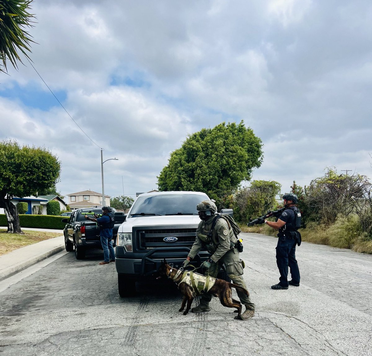 Lillian L. Carranza (Retired)🇺🇸 tweet media