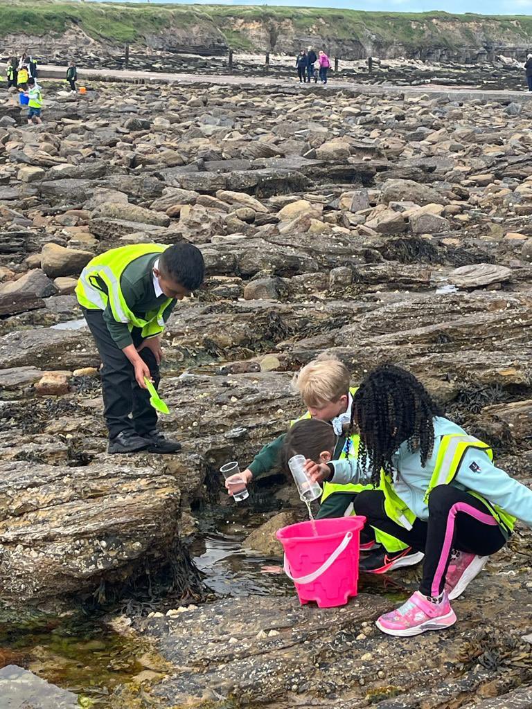 The best school trip ever! Year 2 had a fabulous trip visiting St.Mary’s lighthouse. We searched the rockpools, discovered crabs, hermit crabs and prawns! The sun shone &amp; we all came home wet, sandy &amp; tired #kpps2023 #togetherwearebetter 
#rockpooling #science #StMarysLighthouse