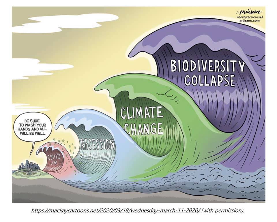 Darren Markland tweet media