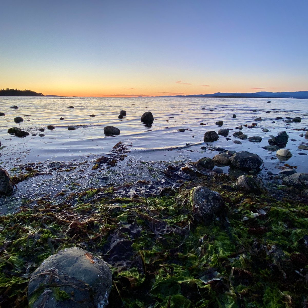 Happy #WorldOceansDay  💙🌊

📸 #parksvillebeach
#parksville #parksvillebc #WorldOceanDay2023