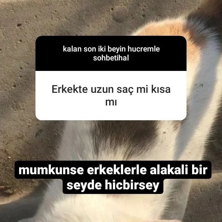 neredeellerinn's tweet photo. kızlar bizz https://t.co/qfBporRJBh
