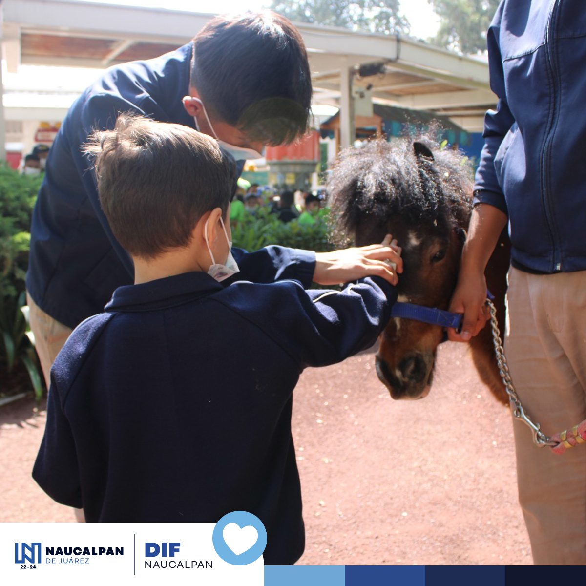 DIFnau's tweet photo. Agradecemos a nuestros amigos de @GranjaMex por contribuir en la construcción de un mundo mejor para las niñas y niños. Entre juegos y diversión, este martes algunos alumnos de nuestros jardines recorrieron las instalaciones donde aprendieron sobre el cuidado de los animales y... https://t.co/hfBDWn1oI6
