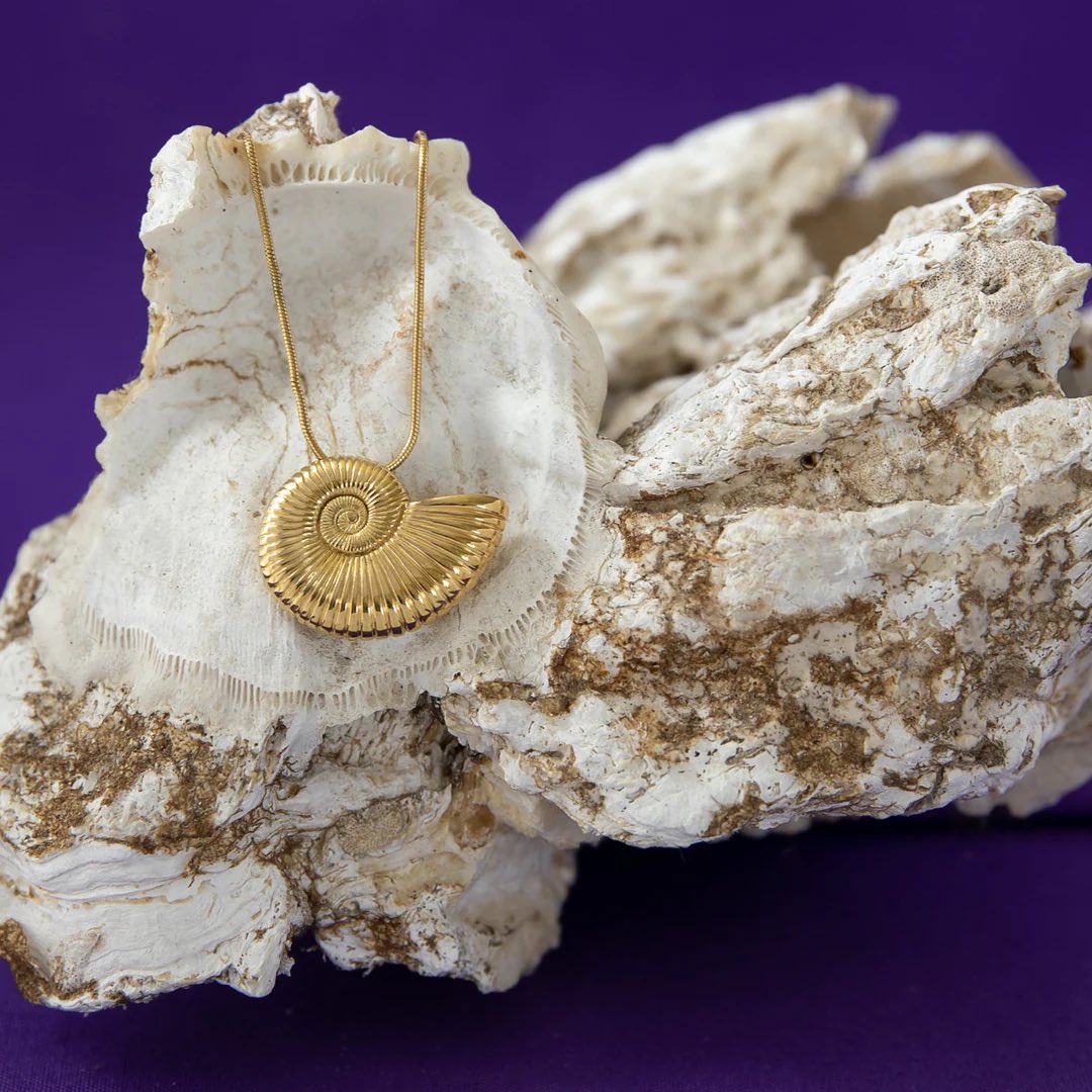 Mario🫧🧜🏽‍♀️ tweet media