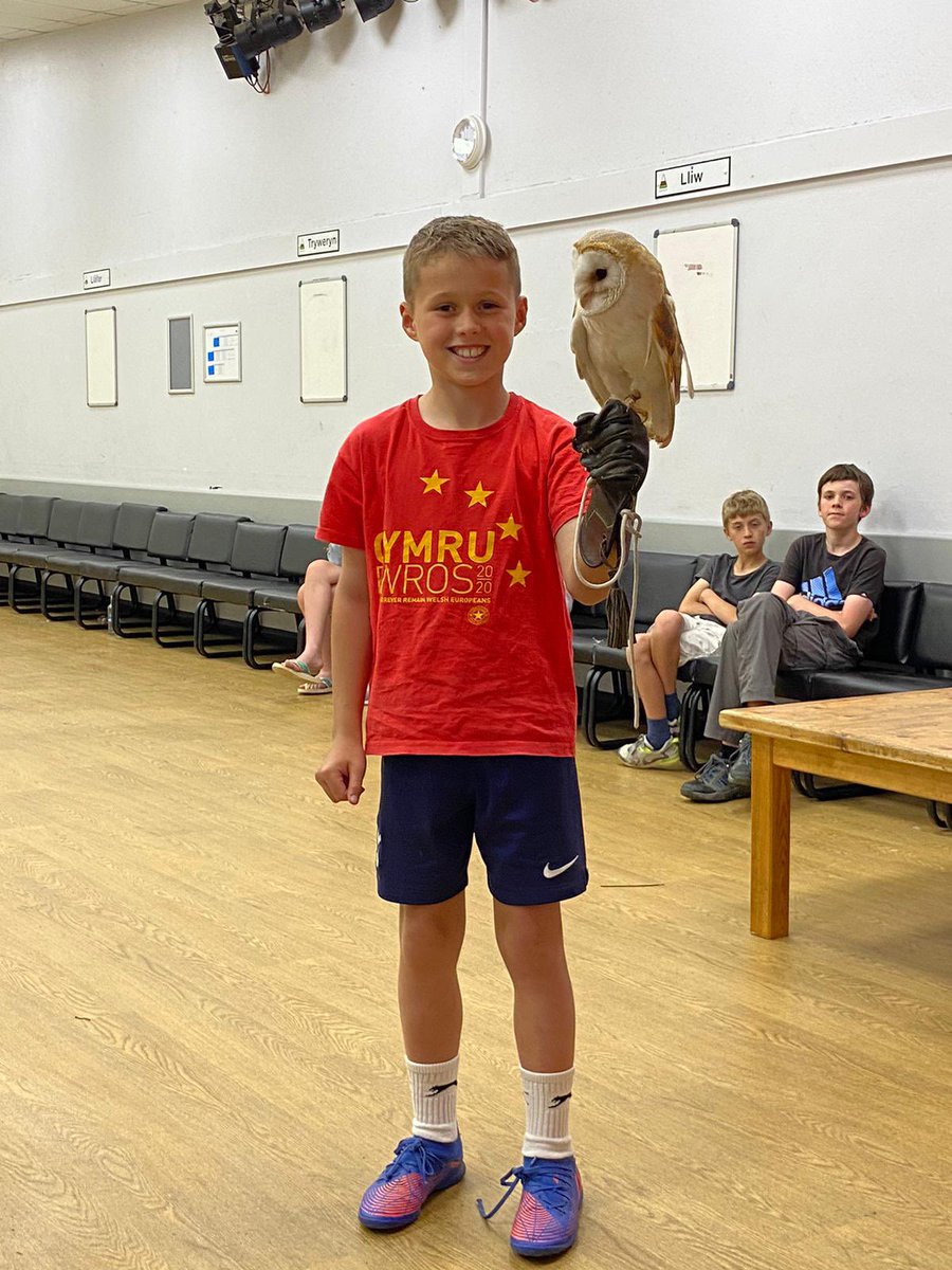 Ysgol DyffrynCledlyn tweet media