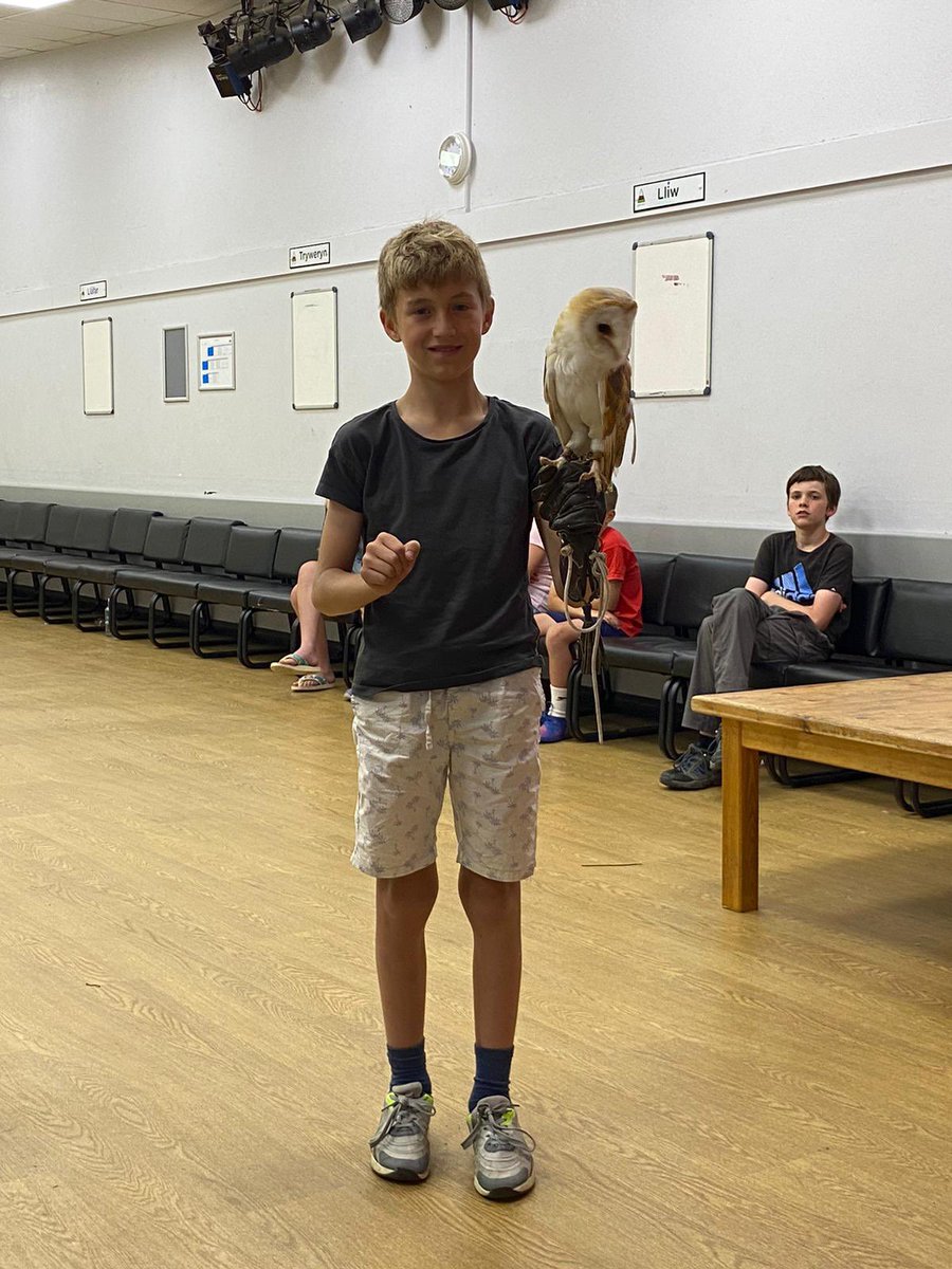 Ysgol DyffrynCledlyn tweet media