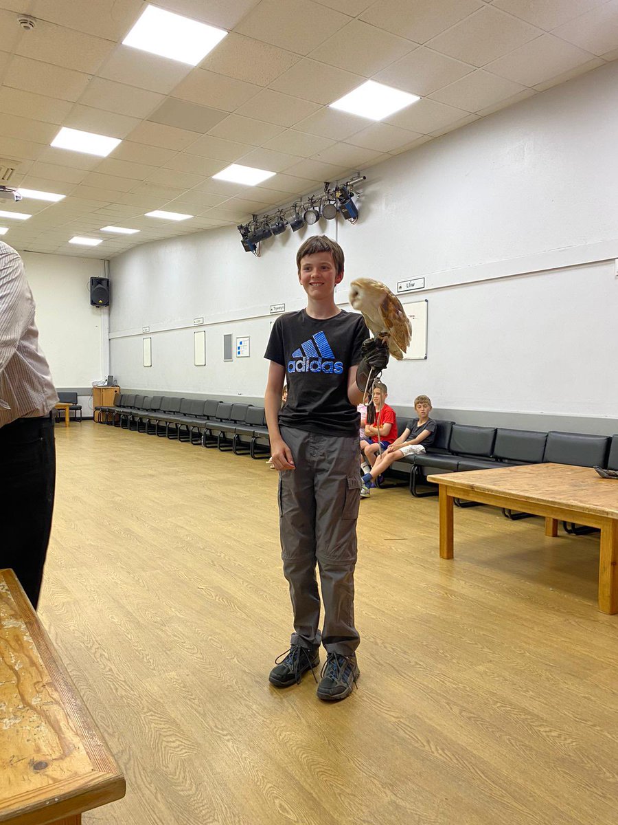 Ysgol DyffrynCledlyn tweet media