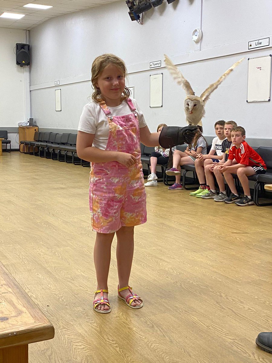 Ysgol DyffrynCledlyn tweet media